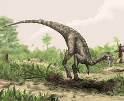 Nyasasaurus parringtoni